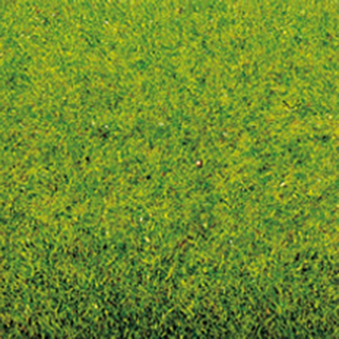 Tapis d'herbe "printemps" 200 cm x 100 cm-HO 1/87-NOCH 00010