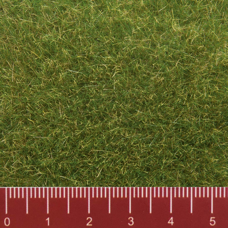 Noch Herbes Sauvages Pré 6 Mm – 50 G – Végétation Miniature Pour Maquettes Ferroviaires Et Dioramas