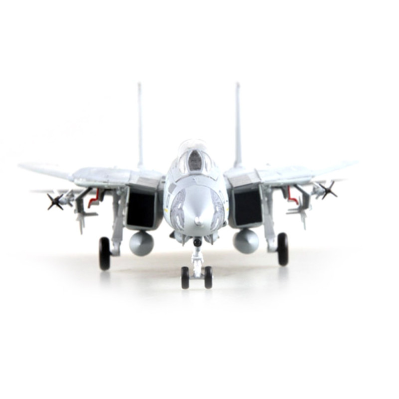 Avion F-14D VF-213 - EASY MODEL 37192 - 1/72