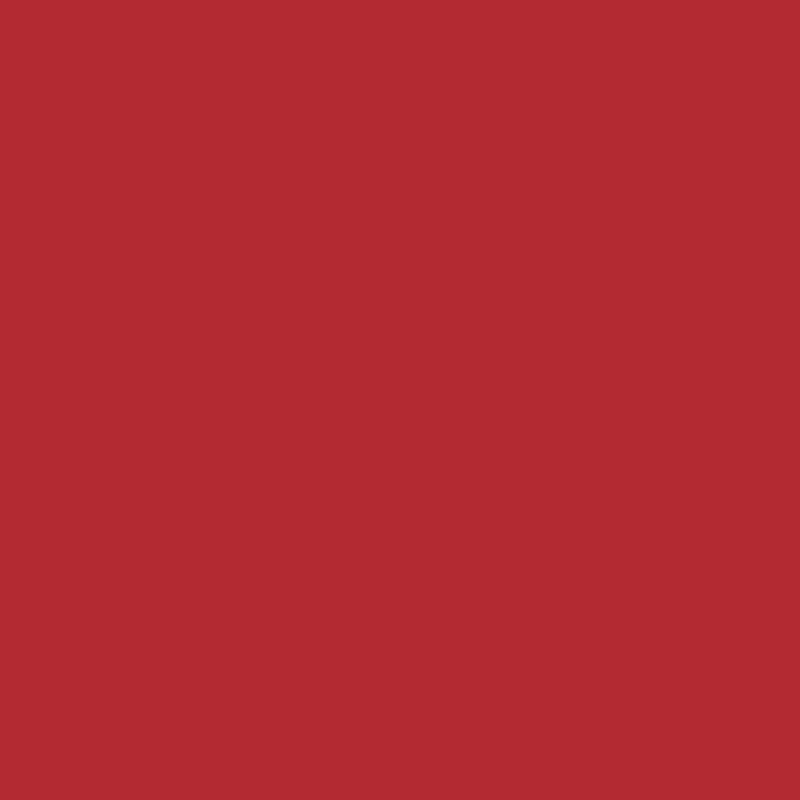 Peinture Rouge RLM 23 17 ml - PRINCE AUGUST P102