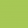 Peinture Acrylique, 17ml, Vert Fluo - PRINCE AUGUST P737