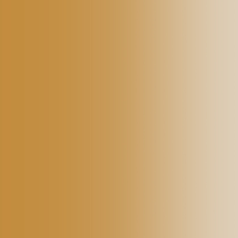 Peinture Acrylique, 17ml, Bois Naturel Trans - PRINCE AUGUST P834