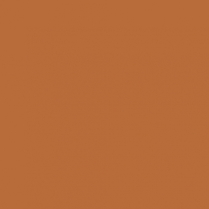 Peinture Acrylique, 17ml, Marron Orangé - PRINCE AUGUST P981