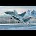 Chasseur MIG-29 UB FULCRUM - TRUMPETER 3226 - 1/32