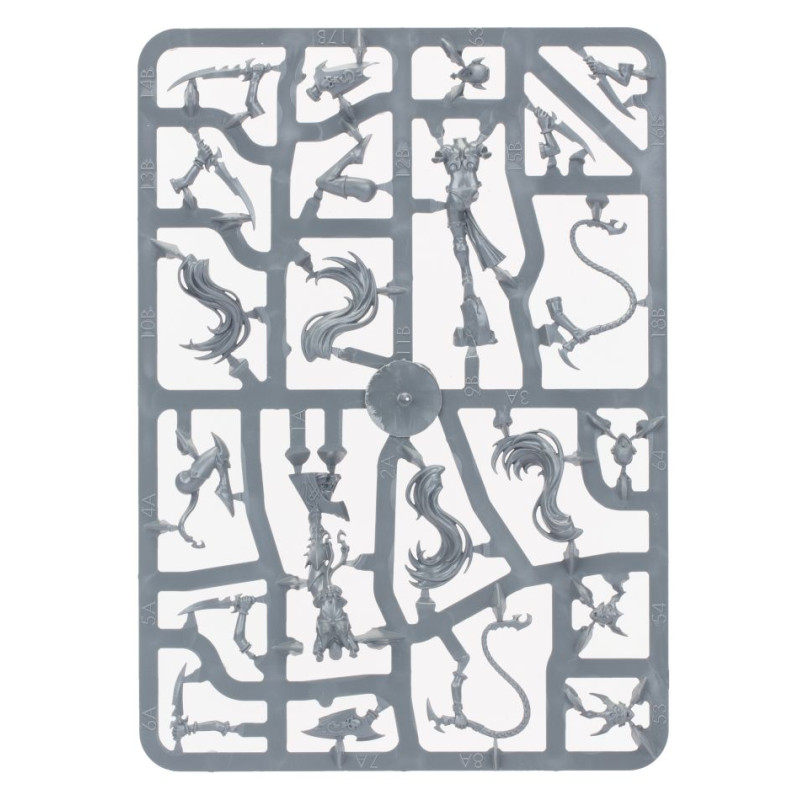 Warhammer Age of Sigmar : Witch Aelves - WARHAMMER 85-10