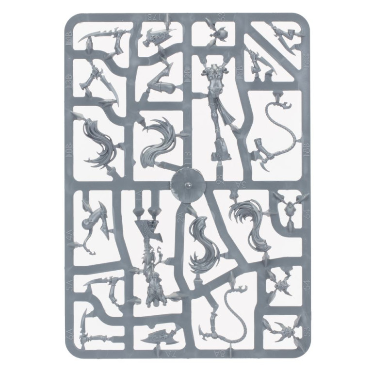 Warhammer Age of Sigmar : Witch Aelves - WARHAMMER 85-10