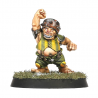 Blood Bowl : Équipe Halflings, Greenfield Grasshuggers - WARHAMMER 200-65