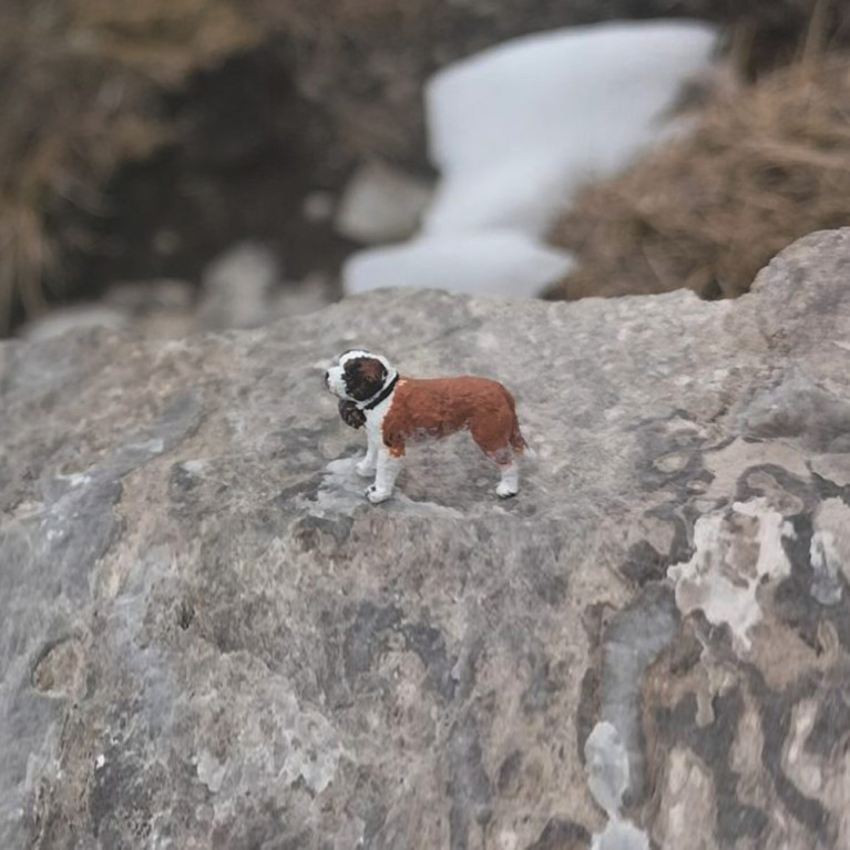 1 Saint-Bernard debout sur ses 4 pattes - VAN PETERGEM SCENARY HOM13 - HO 1/87 1 Saint-Bernard debout sur ses 4 pattes - VAN PETERGEM SCENARY HOM13 - HO 1/87
