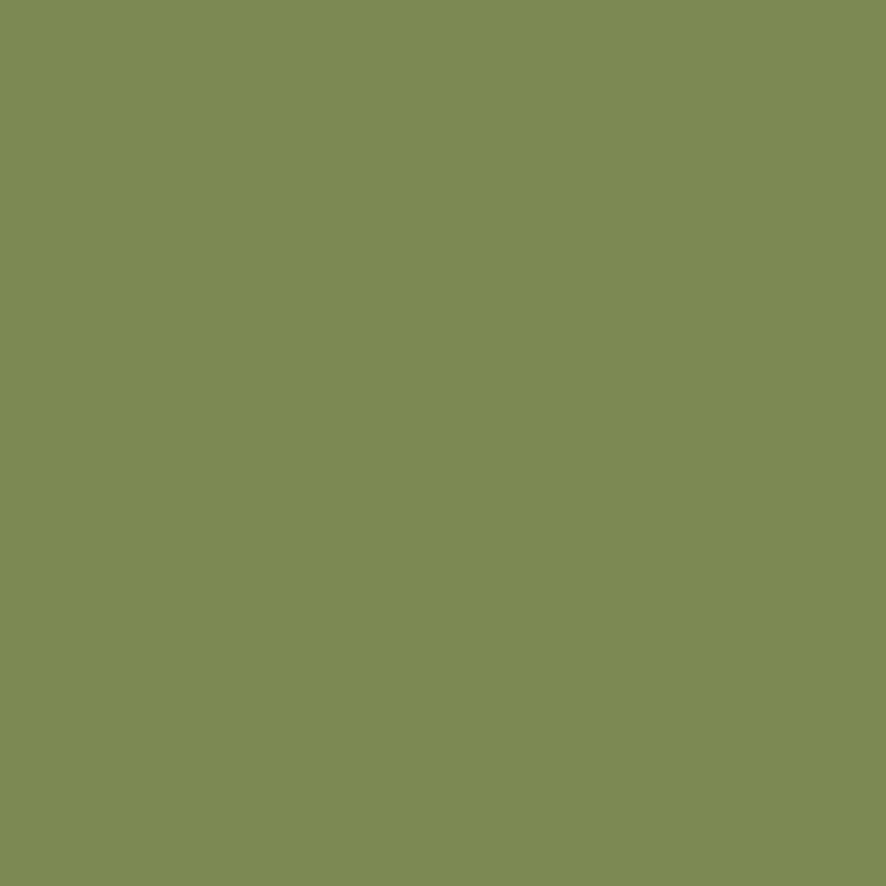 Vert clair, 18ml Model Color - VALLEJO 70.758
