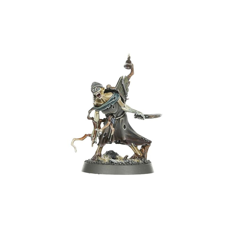Warhammer Age of Sigmar, WARCRY Questor Soulsworn - WARHAMMER 111-99
