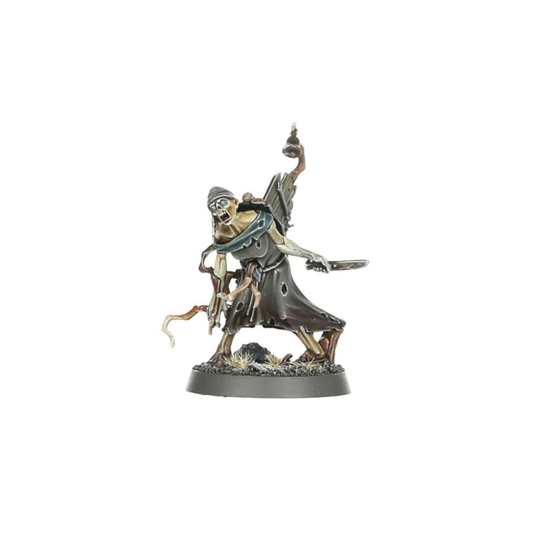 Warhammer Age of Sigmar, WARCRY Questor Soulsworn - WARHAMMER 111-99