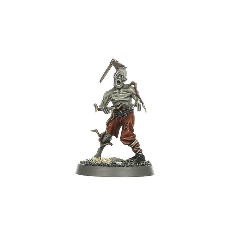 Warhammer Age of Sigmar, WARCRY Questor Soulsworn - WARHAMMER 111-99