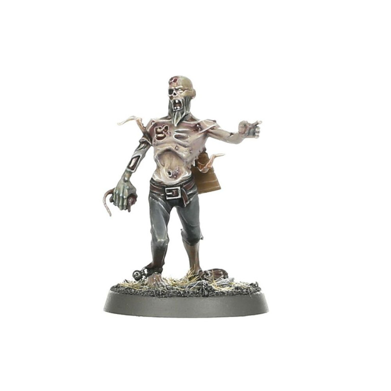 Warhammer Age of Sigmar, WARCRY Questor Soulsworn - WARHAMMER 111-99