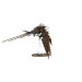 Warhammer 40,000 : Chaos Space Marines / Heldrake - WARHAMMER 43-15