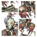 Warhammer Age Of Sigmar : Set d'armée Soulblight Gravelords: Râclemorts - WARHAMMER 91-79
