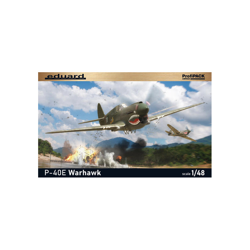 P-40E Warhawk - 6 versions - EDUARD 82241 - 1/48