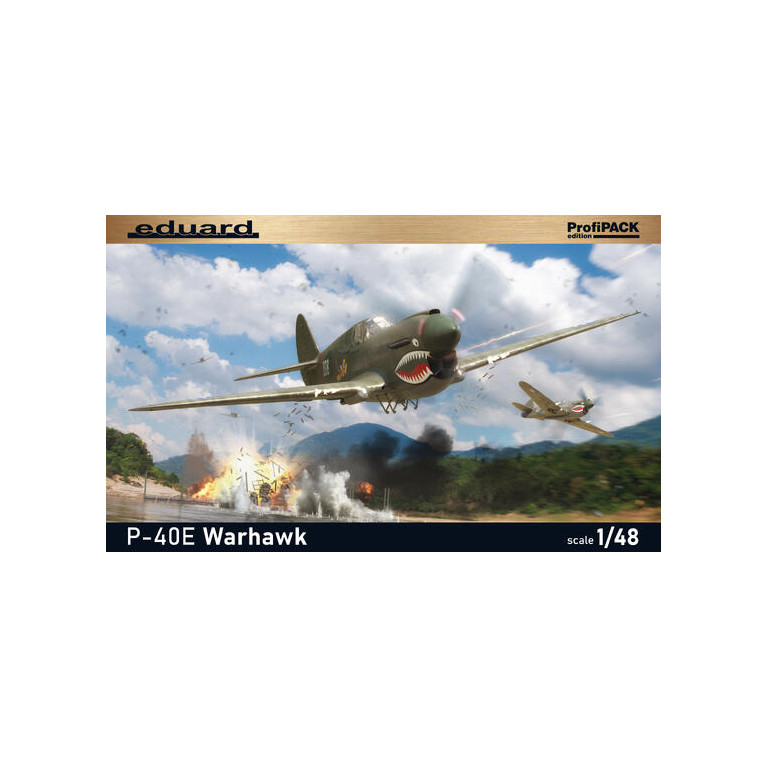 P-40E Warhawk - 6 versions - EDUARD 82241 - 1/48