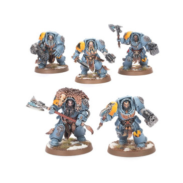 Warhammer 40.000 Space Wolves, Wolf guard terminators  - WARHAMMER 53-36