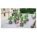 Arbres ornementaux en pots - NOCH 14013 - HO 1/87