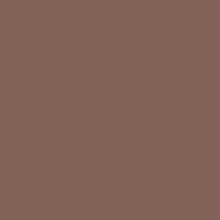 Rose Marron N°10 - 18ml Model Color - VALLEJO 70.803