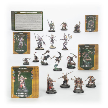 Warhammer Underworlds, Bandes du Chaos: Pillards de la Ruine - WARHAMMER 109-41