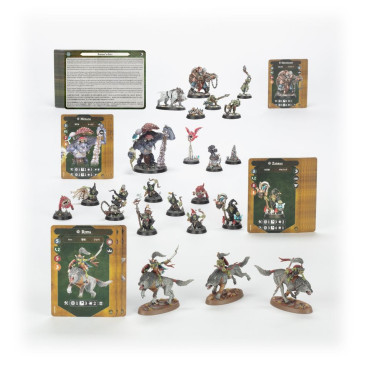 Warhammer Underworlds, Bandes de la Destruction: Colosses et Avortons - WARHAMMER 109-43