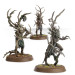Warhammer Age of Sigmar, Sylvaneths, Fielbosquet de Parias - WARHAMMER 92-31