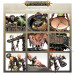 Warhammer Age of Sigmar, Orruk warclans, Sloggoth des Marais - WARHAMMER 89-66