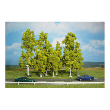 10 bouleaux, 10-18cm - HEKI 1322 - HO, TT, N, Z