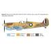 Ace, Spitfire Mk.V, Mk.IX, 5 versions - ITALERI 1482 - 1/72