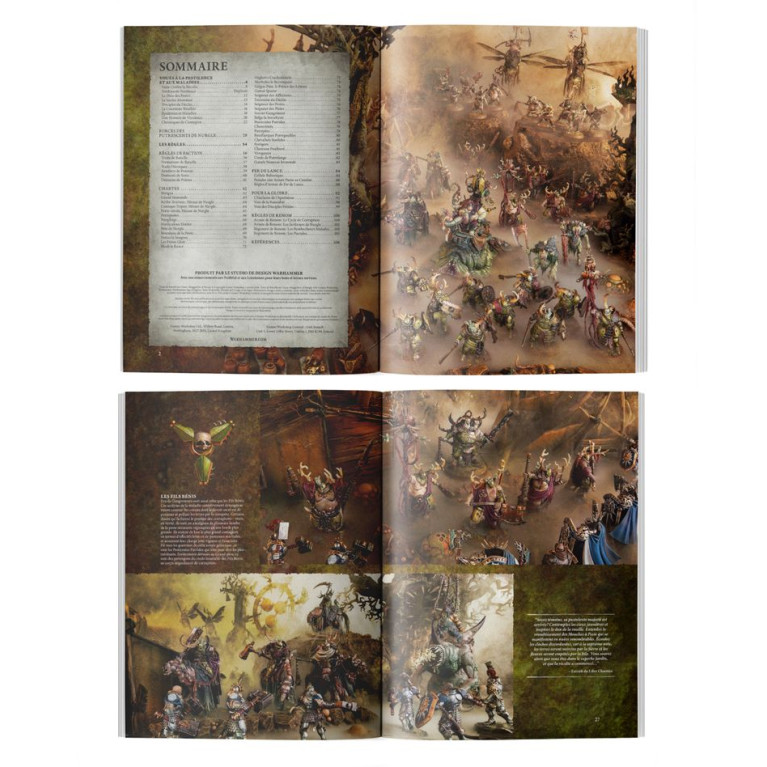 Warhammer Age of Sigmar, Tome de Bataille du Chaos: Maggotkin of Nurgle - WARHAMMER 01030201032