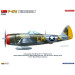 P-47M Thunderbolt, advanced kit - MiniArt 48032- 1/48
