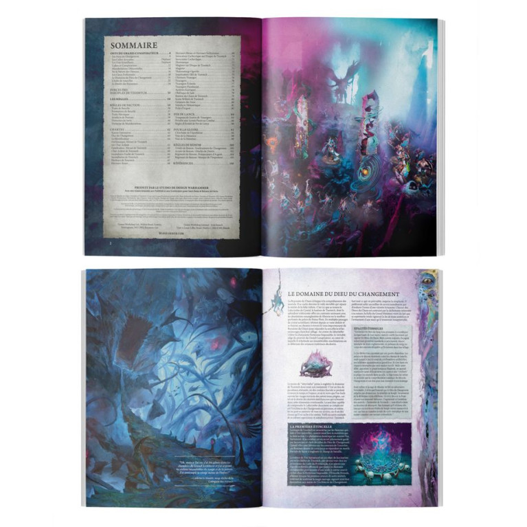Warhammer Age Of Sigmar, Tome de Bataille du Chaos, Disciples of Tzeentch - WARHAMMER 01030201033