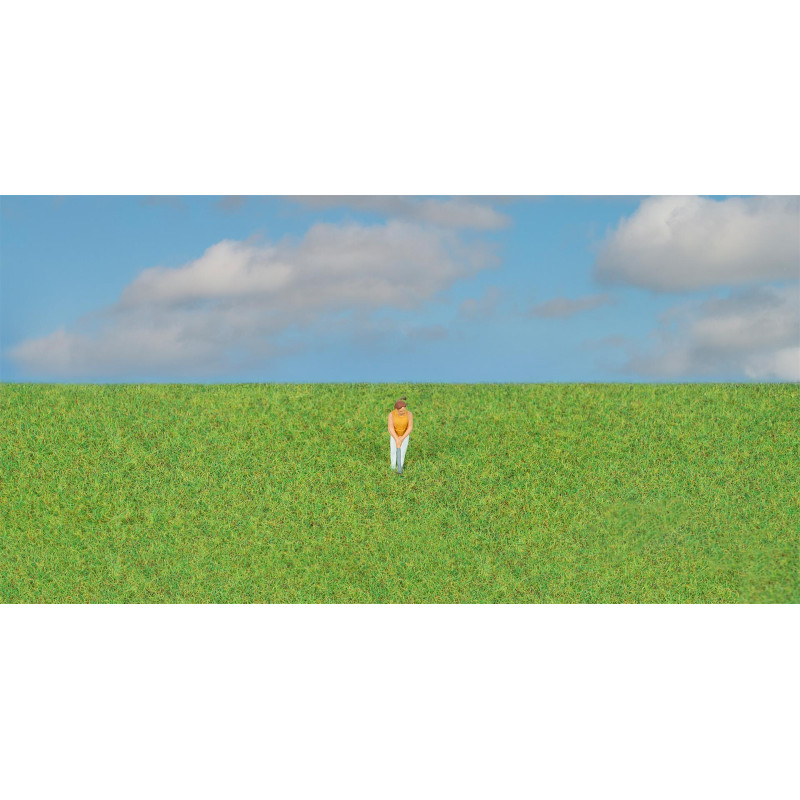 Fibres à saupoudrer, vert gazon, 4mm, 80g - FALLER 170212 - HO 1/87