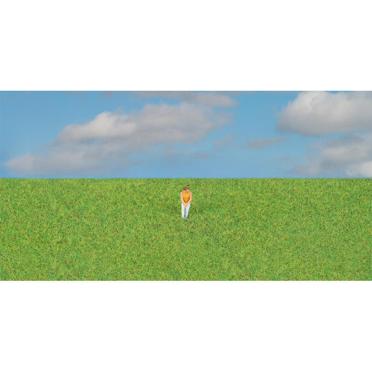 Fibres à saupoudrer, vert gazon, 4mm, 30 g - FALLER 170211 - HO 1/87