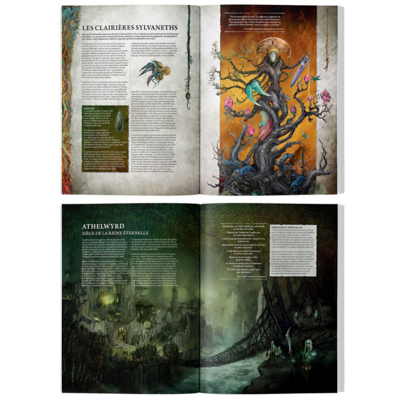 Warhammer Age of Sigmar, Tome de Bataille de l'Ordre, Sylvaneth - WARHAMMER 01030204010