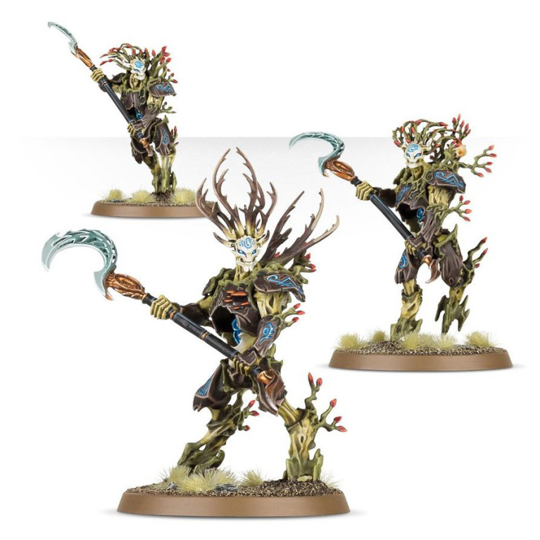 Warhammer Age of Sigmar, Bataillon, Sylvaneth, Sylve de Fortesouche - WARHAMMER 99120204056 92-32