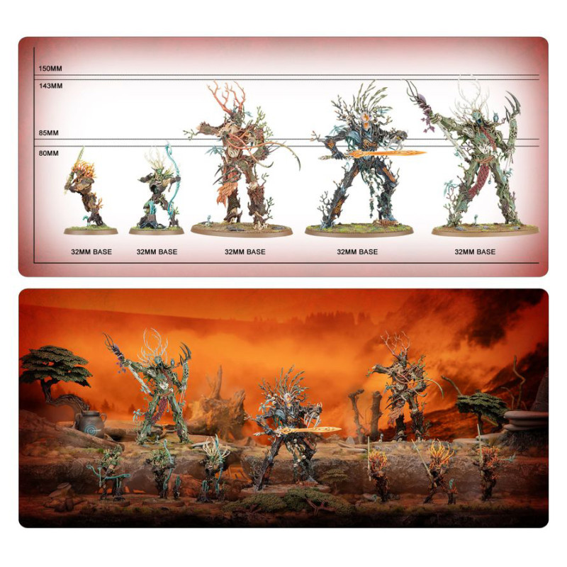 Warhammer Age of Sigmar, Bataillon, Sylvaneth, Sylve de Fortesouche - WARHAMMER 99120204056 92-32