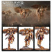 Warhammer The Horus Heresy, Legio Custodes, Sodalité Venatari - WARHAMMER 99123043003 31-162
