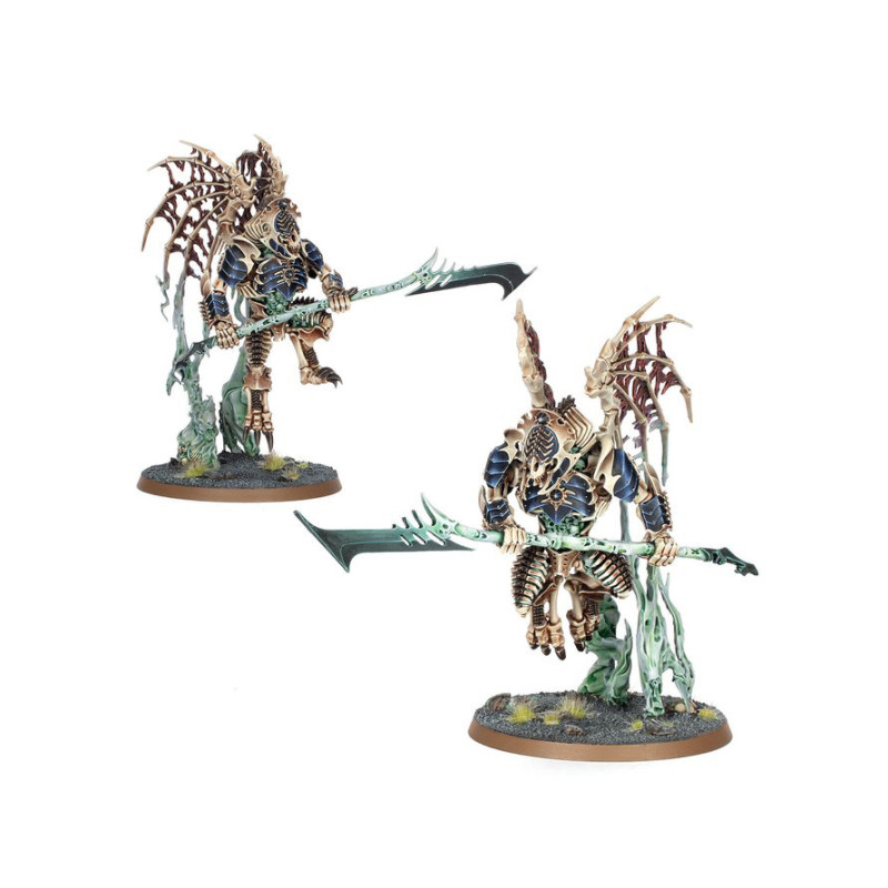 Warhammer Age of Sigmar, Bataillon, Collecteurs Ossiarques, Phalange de la Myriade du Néant - WARHAMMER 99120207261 94-15