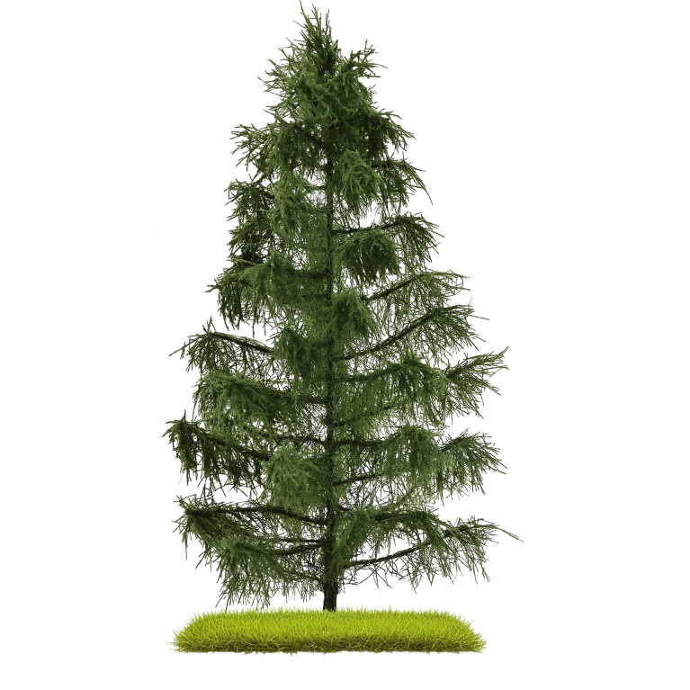 Épicéa, 210mm - BUSCH 3807 - HO 1/87