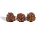 3 Buissons, automne - BUSCH 3609 - HO 1/87