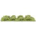 8 micro-arbustes, printemps- BUSCH 3601 - HO 1/87, N 1/160