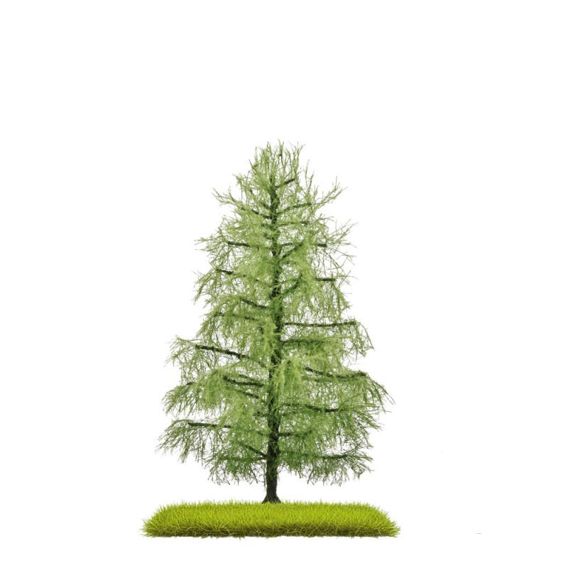 Mélèze, 140mm, été - BUSCH 3812 - HO 1/87
