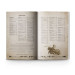 Warhammer The Old World, Livre de règles, Batailles fantastiques dans un Monde de légende  - WARHAMMER 01042799001 05-02