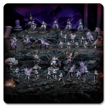 Warhammer Age of Sigmar, Fer de Lance, Hedonites of Slaanesh, Délicieux épicuriens - WARHAMMER 99120201255 70-834