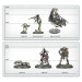 Warhammer 40.000, Bataillon, Ost Nécron - WARHAMMER 99120110095 49-71