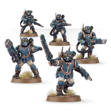 Warhammer 40.000, Astra Militarum, Pupilles du Tempestus - WARHAMMER 99120105116 47-15