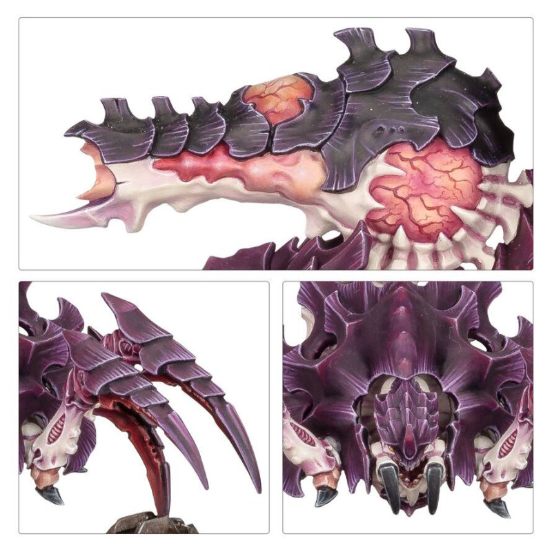 Warhammer 40.000, Tyranids, Pyrovore - WARHAMMER 9912010665 51-41