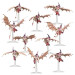 Warhammer 40.000, Tyranids, Essaim de Gargouilles - WARHAMMER 99120106052 51-12